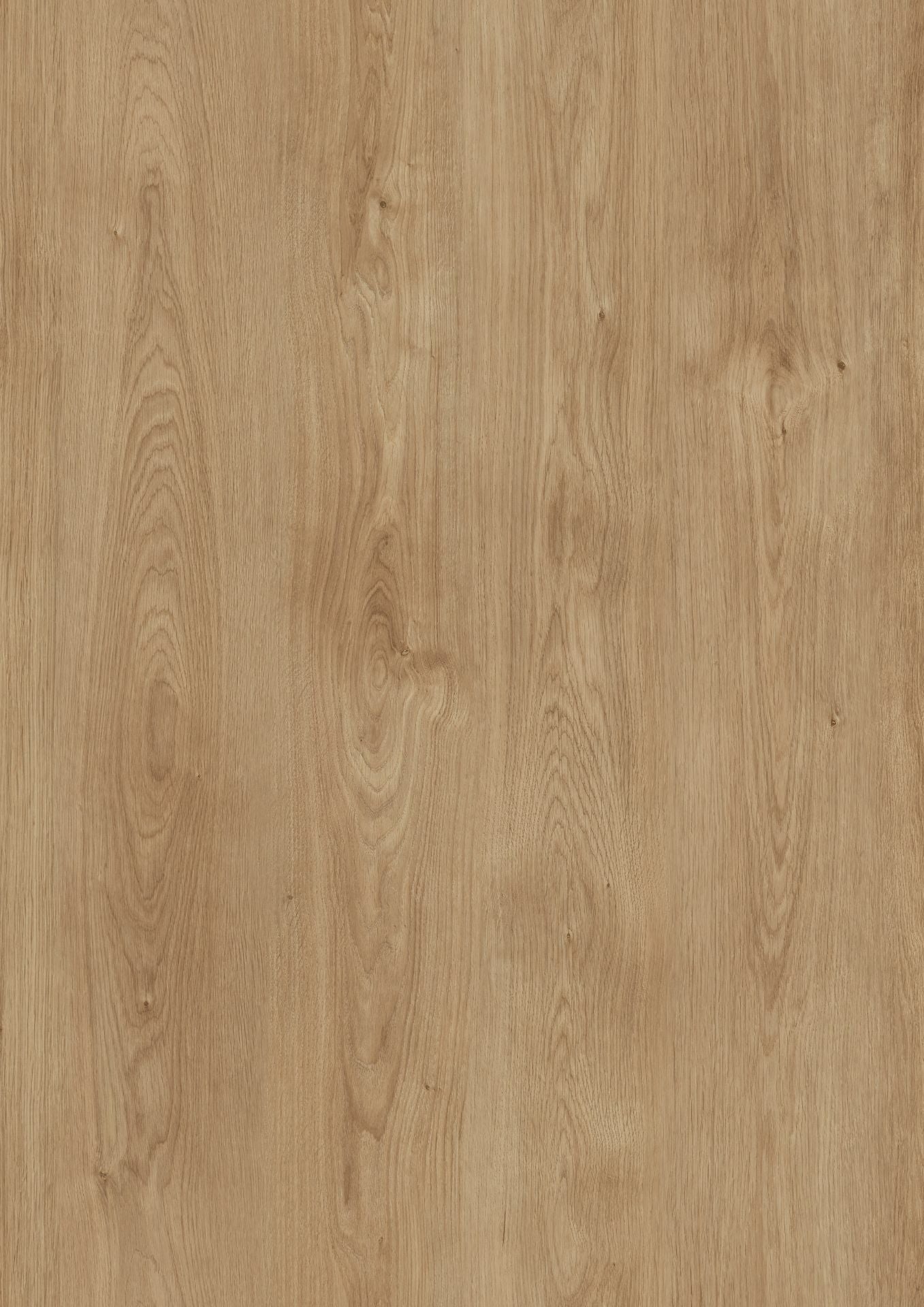 Beautifloor - Laminaat - Henegouwen - 4009342 - Celles