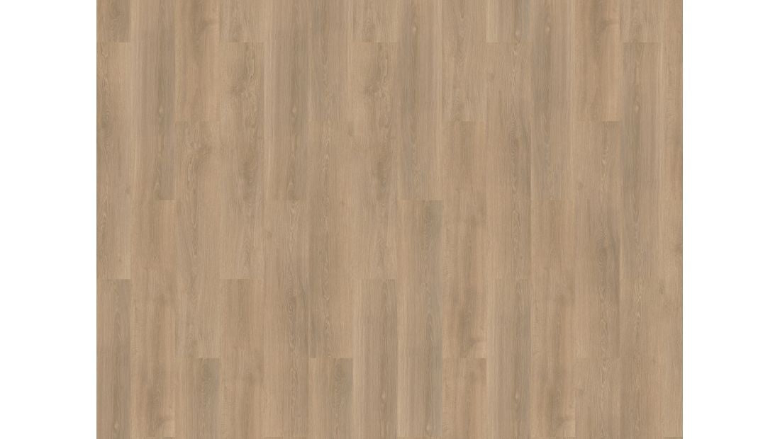 River Oak - 63019 - Rhone - Dryback