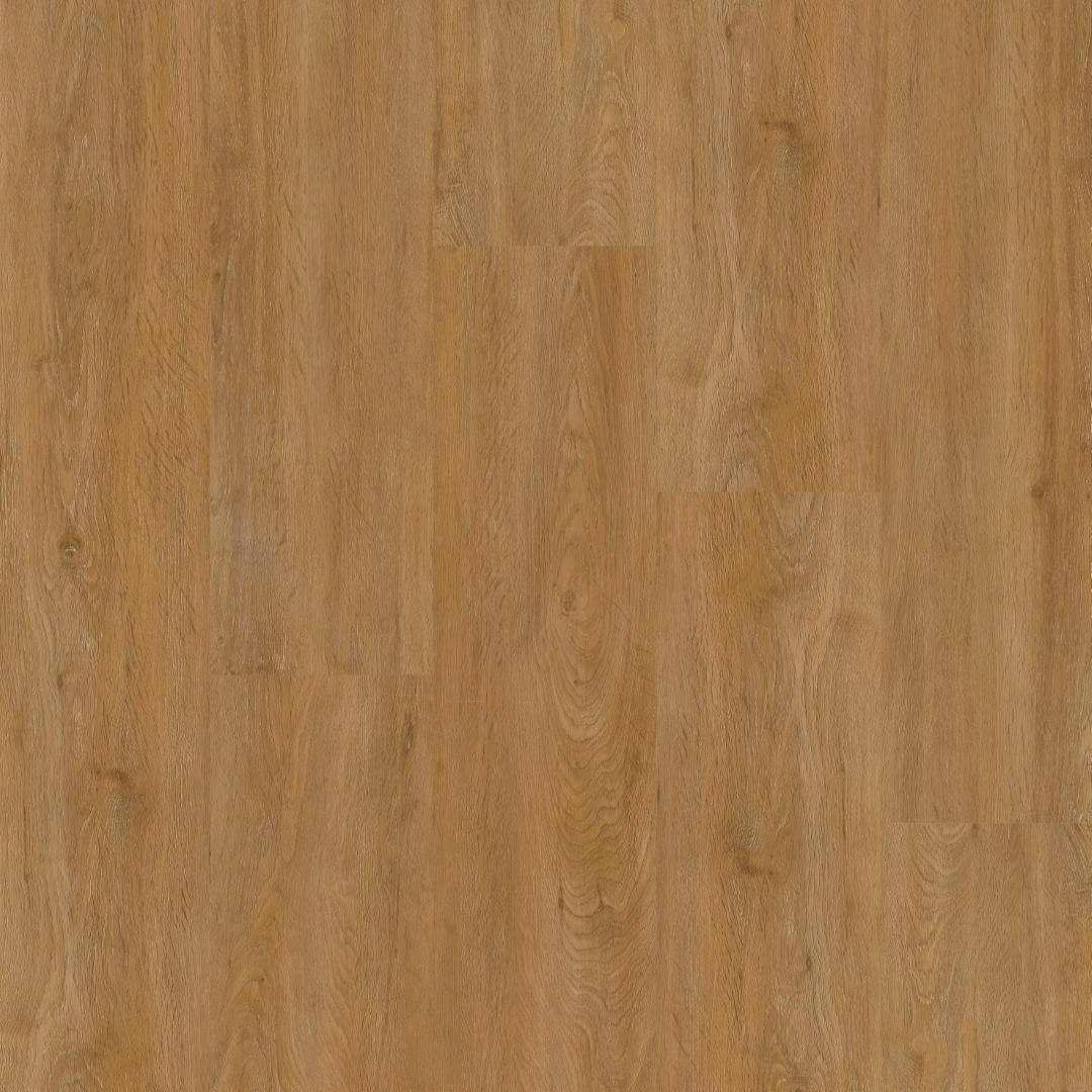 Therdex - Basic Serie - 2040 - Dryback