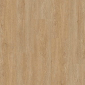 Therdex - Basic Serie - 2050 - Dryback