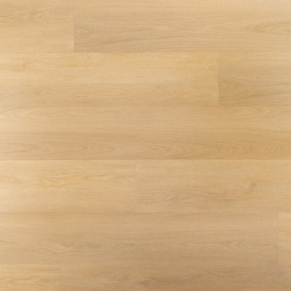 Douwes Dekker - Ambitieus - 10502 - Riante Plank Croissant - Ultra Mat - Dryback