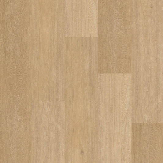 Therdex - Chevron Serie - Rechte Plank - C12041 - Click