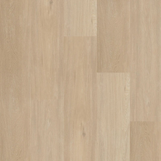 Therdex - Chevron Serie - Rechte Plank - C12042 - Click