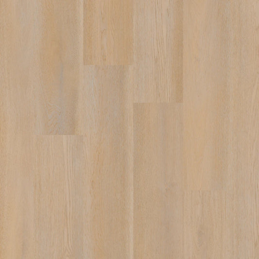 Therdex - Premier Serie - 15080 - Dryback