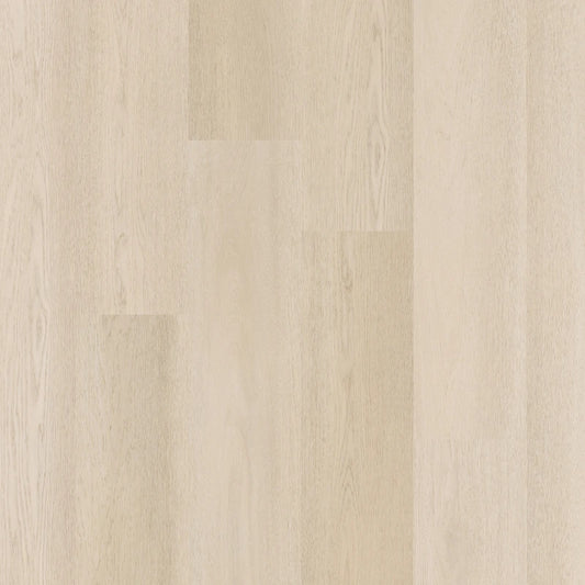 Therdex - Premier Serie - 15081 - Dryback