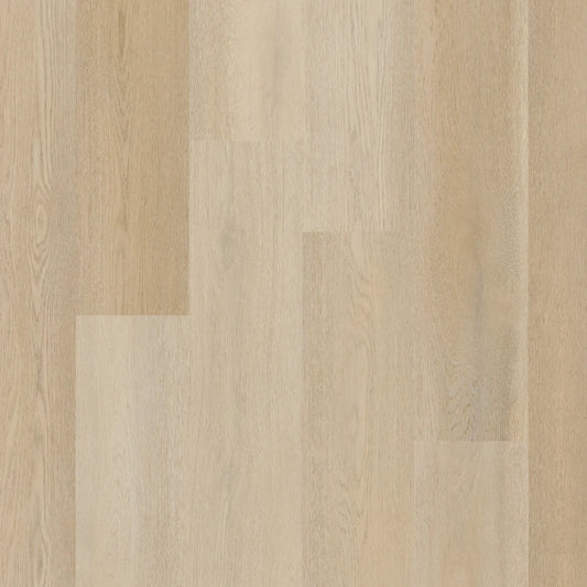 Therdex - Premier Serie - 15082 - Dryback