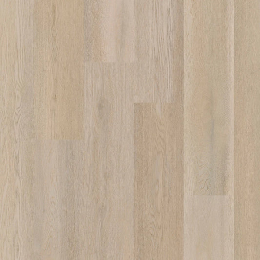 Therdex - Premier Serie - 15083- Dryback
