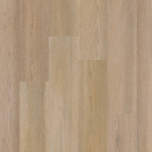 Therdex - Premier Serie - 15084- Dryback