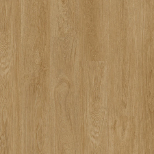 Therdex - Classic Serie - Recht Plank - 15123 - Dryback