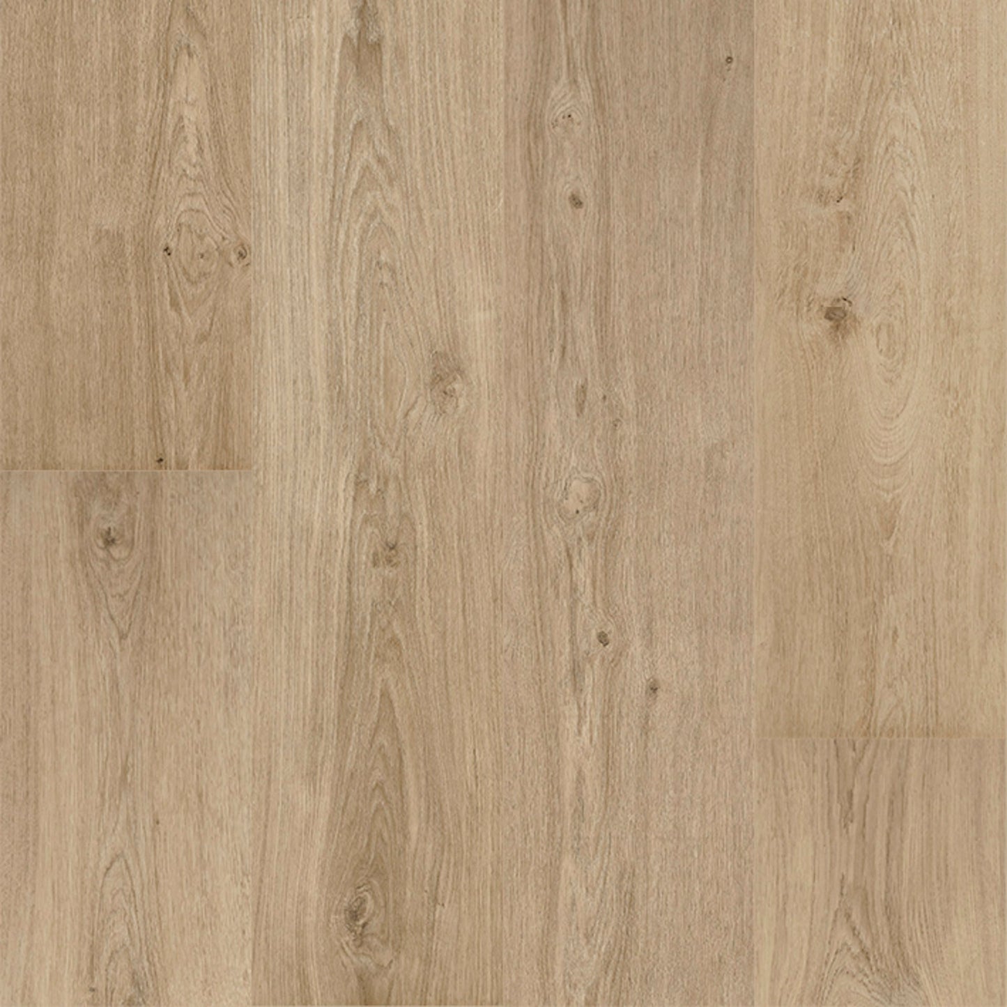 Floorify - Sky Lange Plank - F017T - Champagne - Click