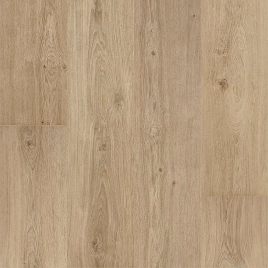Floorify - Sky Lange Plank - F017T - Champagne - Click