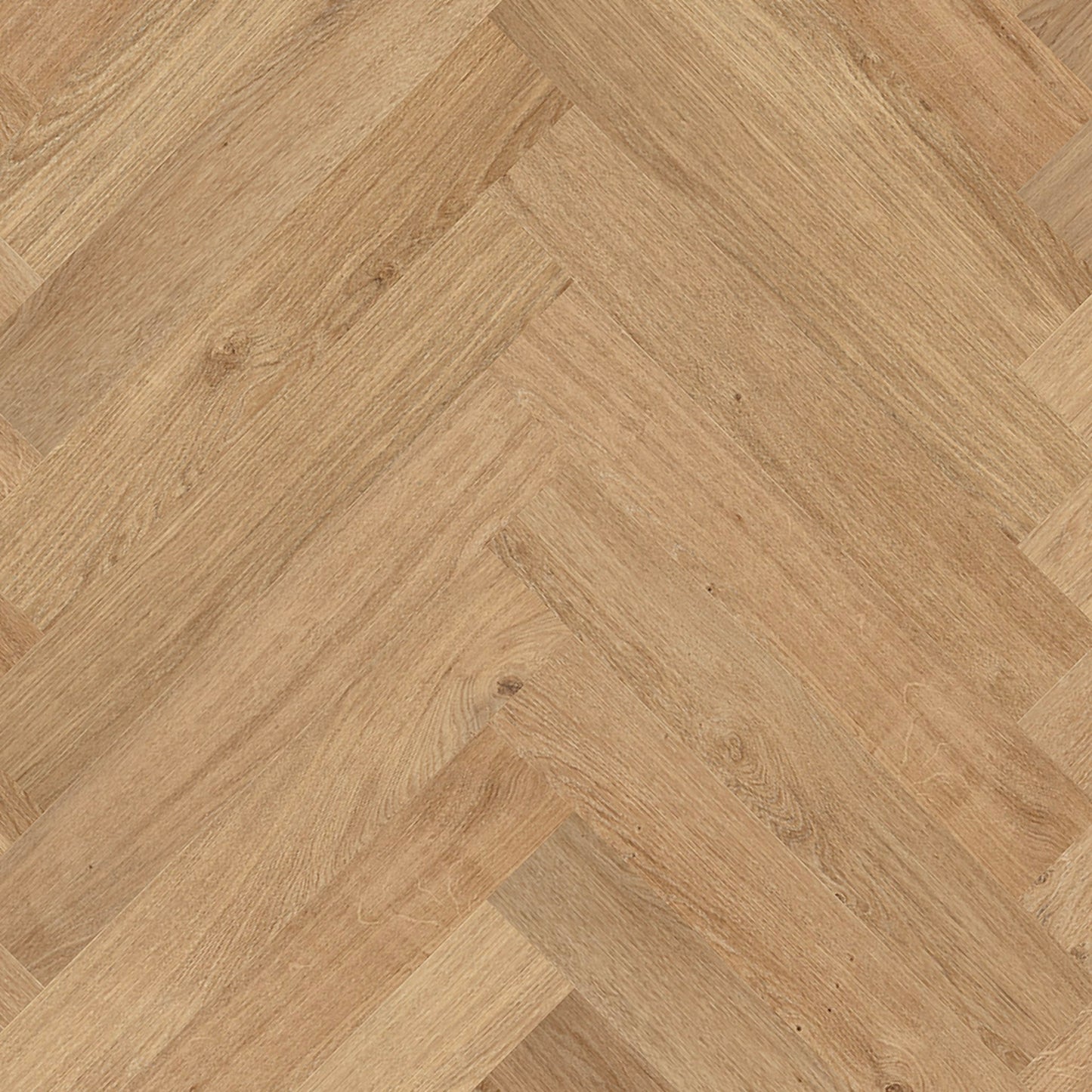 Floorify - Curry Walvisgraat - FG619 - Anago Large - Dryback