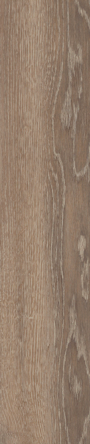 Mflor - Parva Authentic Oak XL - 46413 - Calabria - Dryback