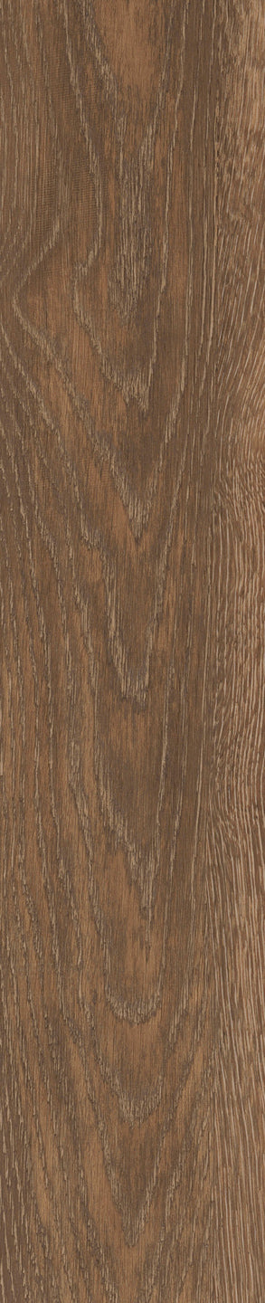Mflor - Parva Authentic Oak XL - 46416 - Liguria - Dryback