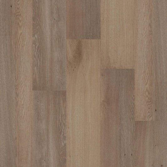 Therdex - Premium Serie - 70050 - Dryback