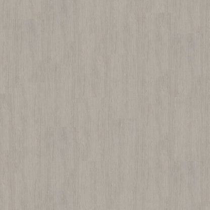 Mflor - Abruzzo - 60221 - Emilia - Dryback