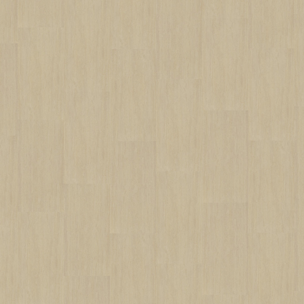Mflor - Abruzzo - 60222 - Velia - Dryback