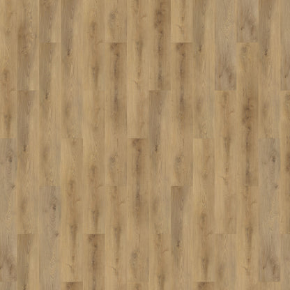 Mflor - Colton - 62323 - Alyssa - Dryback