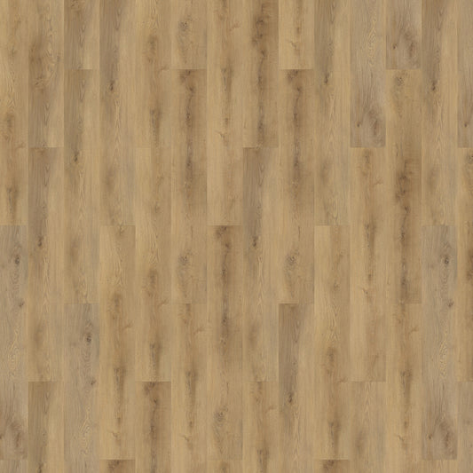 Mflor - Colton - 62323 - Alyssa - Dryback