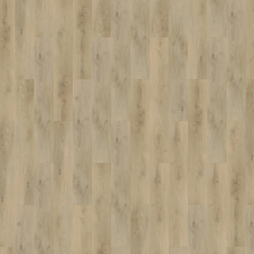 Mflor - Colton - 62331 - Damian - Dryback