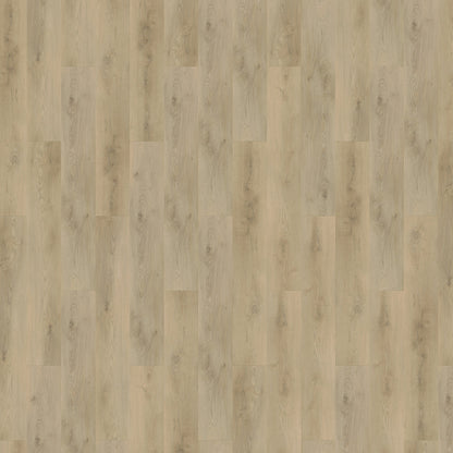 Mflor - Colton - 62331 - Damian - Dryback