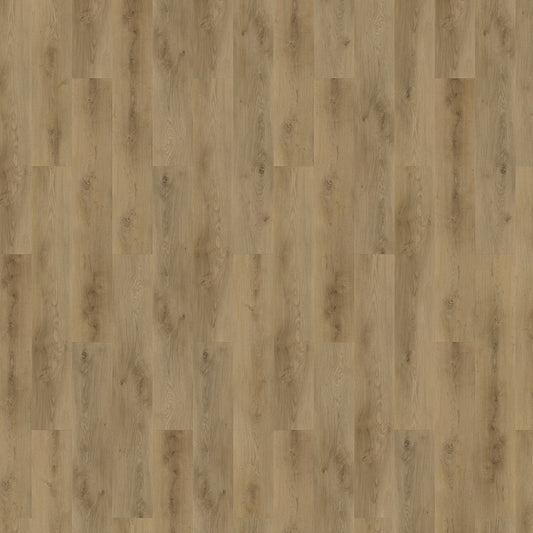 Mflor - Colton - 62333 - Julianne - Dryback