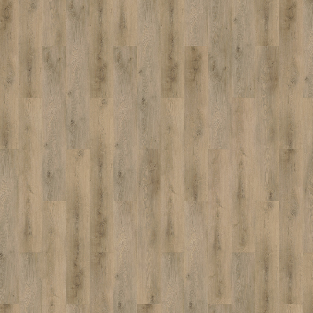 Mflor - Colton - 62334 - Michelle - Dryback