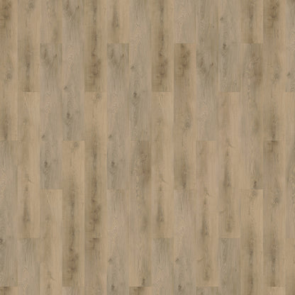 Mflor - Colton - 62334 - Michelle - Dryback