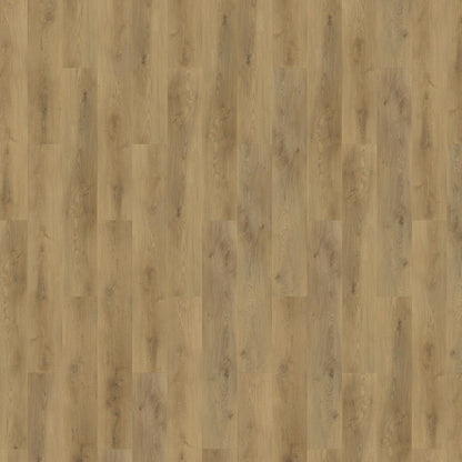 Mflor - Colton - 62335 - Ralph - Dryback