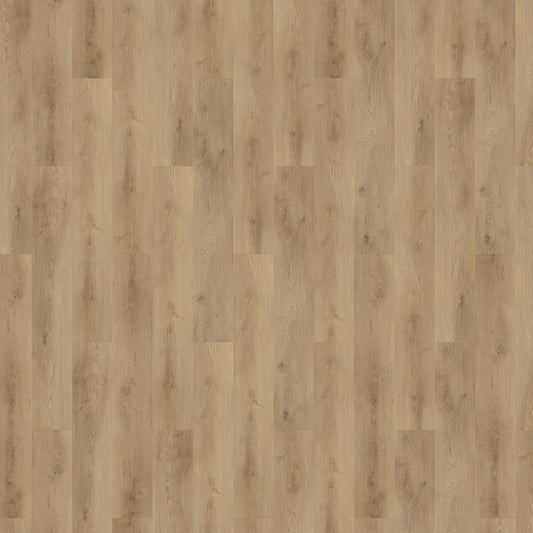 Mflor - Colton - 62336 - Tyler - Dryback