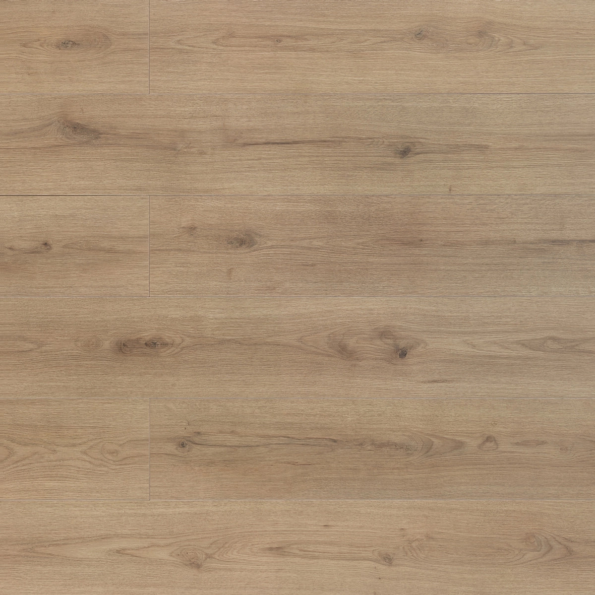 Floer - Laminaat - Steden - FLR-1425 - Gent Grijsbeige Eiken