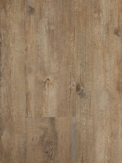EKOFloors - Excellent Dryback - Raw Pine Olympus - BD503