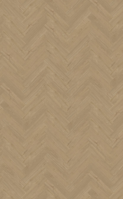 Belakos - 54 - Portico - Click - Visgraat XL