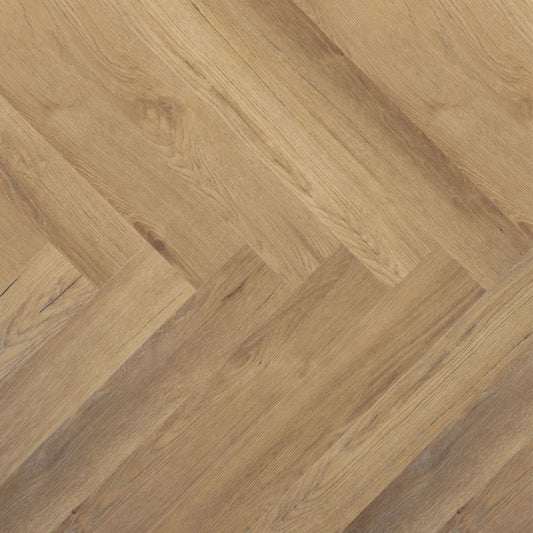 Douwes Dekker - Ambitieus - 10530 - Brede Visgraat Gemberkoek - Rigid Click