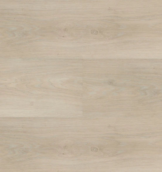 Hebeta - Chapelle XL - 54841 - Rechte Plank - Dryback