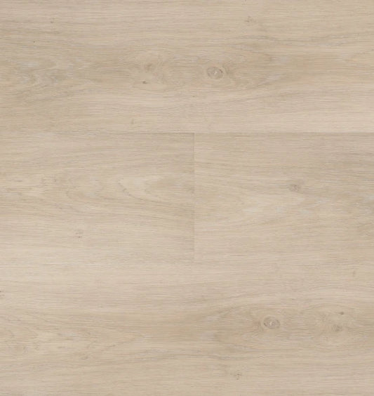 Hebeta - Chapelle XL - 54842 - Rechte Plank - Dryback