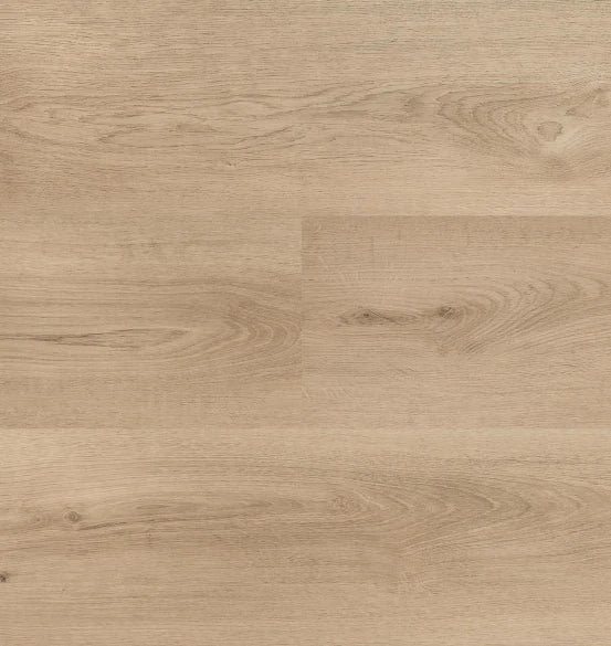 Hebeta - Clermont XL - 54825 - Dryback