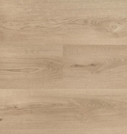 Hebeta - Clermont XL - 54825 - Dryback