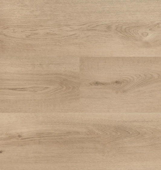 Hebeta - Clermont XL - 54824 - Dryback