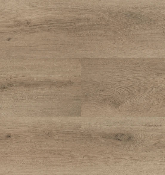 Hebeta - Clermont XL - 54826 - Dryback