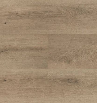 Hebeta - Clermont XL - 54826 - Dryback
