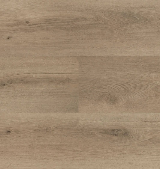 Hebeta - Clermont XL - 54826 - Dryback