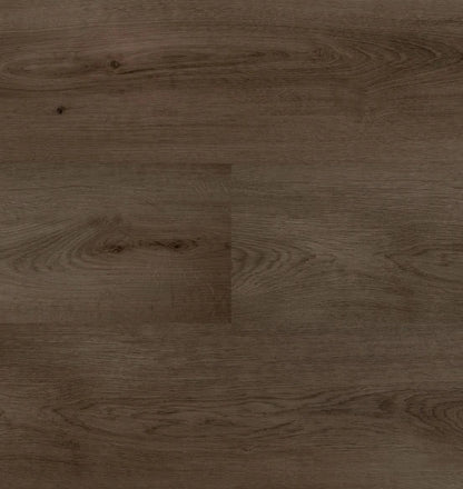 Hebeta - Clermont XL - 54827 - Dryback