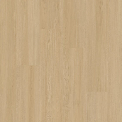 Therdex - Select Serie - Recht Plank - 15131 - Dryback