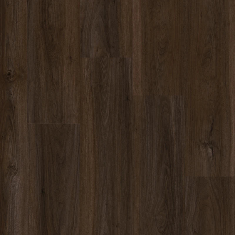 Therdex - Walnut Serie - Recht - 12053 - Dryback