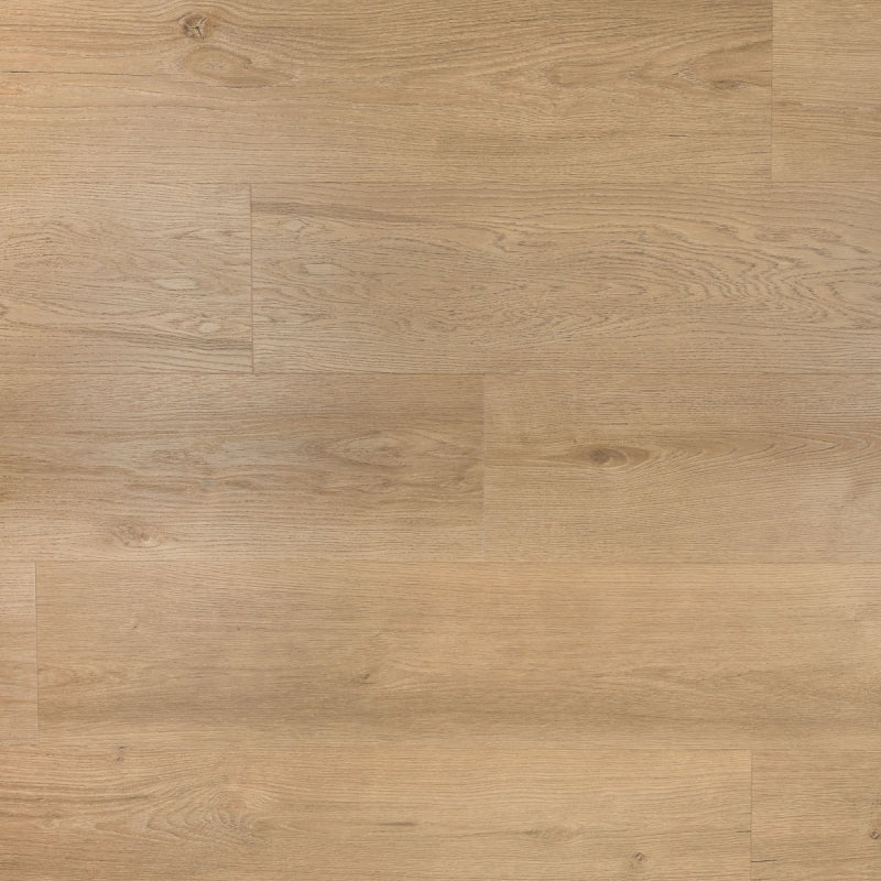 Douwes Dekker - Ambitieus Riante Plank - Click