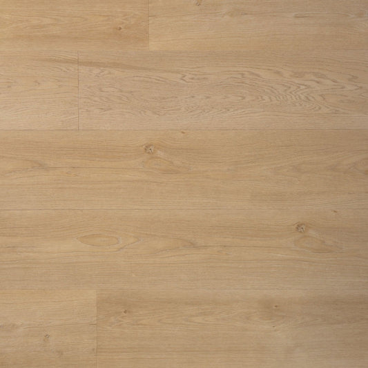 Douwes Dekker - Ambitieus Riante Plank - Click