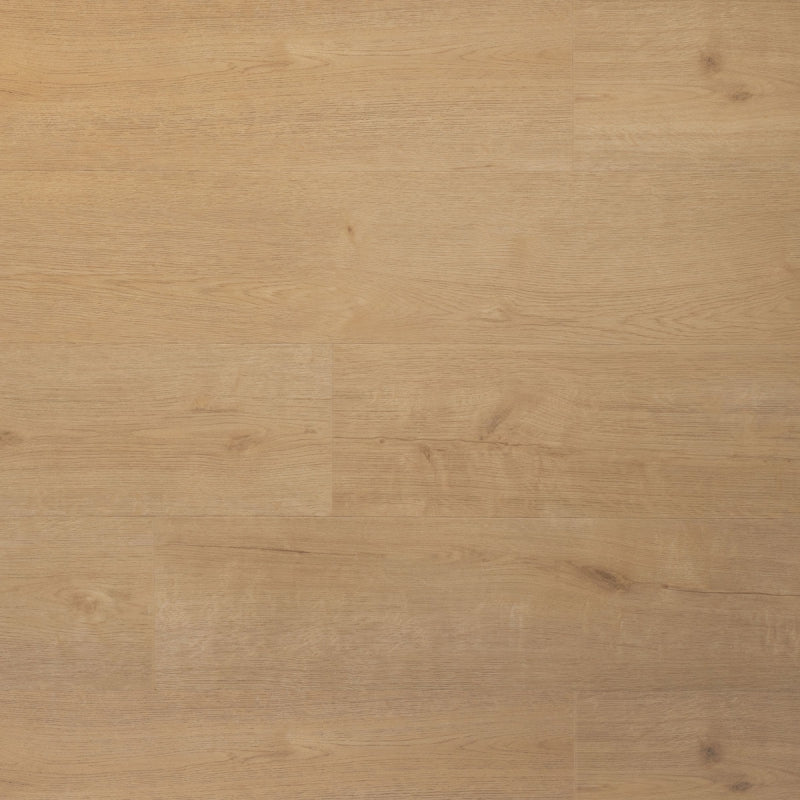 Douwes Dekker - Praktisch Plank - Click