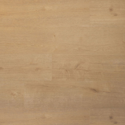 Douwes Dekker - Praktisch Plank - Click