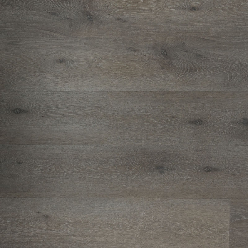 Douwes Dekker - Ambitieus Riante Plank - Dryback